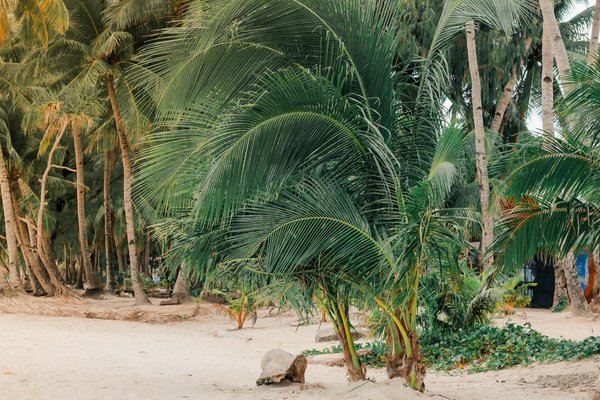 Expérience de glamping en bord de lac: les meilleures locations