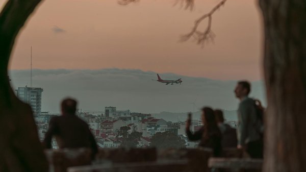 Safari d'Aventure en Parc d'Attractions : Mythe ou Réalité ?